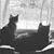 Christine Stiffler's profile image