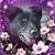Linda Ricci's profile image