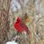 Nikki Merryman Shannon's profile image