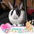 William Robert Bohrer's profile image