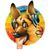 Paul Wescott's profile image