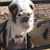 Candace Maun Rachel's profile image