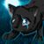 Michael Hassler's profile image