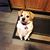 Lisa McClain Wagner's profile image