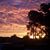Patti Montague's profile image