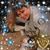 Judi Williams's profile image
