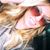 Aimee Whetstone's profile image