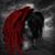 Diane Tornincaso's profile image