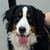 Gerald Wistrand's profile image