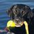 William Fiegel's profile image