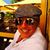 Dana Chrisler's profile image