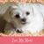 Debbie May Anderson's profile image