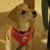 Rudhran Mehra's profile image
