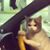 Kd Calfee's profile image