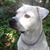 Irene Novosad's profile image