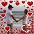 Tiffany Foster Corey's profile image