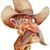 Art Carpenter's profile image
