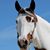 Renee Leyden's profile image