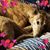 Mary Radek's profile image