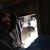 Andy Lyke's profile image