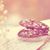 Sunbal Chaudhary's profile image