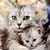 Karen Igel's profile image
