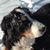 Darcy DiPlacido Palmer's profile image