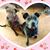 Joy Crutcher's profile image