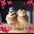 Phong Vu's profile image