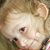 Amy Jurewicz's profile image