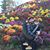 Alicia M. Rivera Jones's profile image