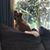 Duke Harley's profile image