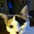 Darcy Ames Rowe's profile image