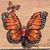 Dian Foster-Carpenter's profile image
