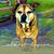 Lysa Lockwood's profile image