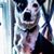 Ellen Schumm's profile image