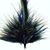 Txia Lu's profile image