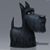 Cheri Meisner's profile image