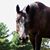 Julie Hiles's profile image