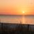 Bridget Young's profile image