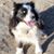 Dave Musselman's profile image