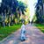 Amanda Brickner's profile image