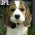 Gayle Aalderink's profile image