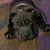 Osiel Guerrero's profile image
