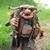Rob Boothe's profile image
