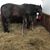 Kathleen Pink McIsaac's profile image
