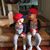 Shannon Matteo's profile image