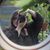 Katherine Thomas's profile image