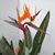 Robyn Paisant's profile image