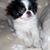 Lois Edwards's profile image